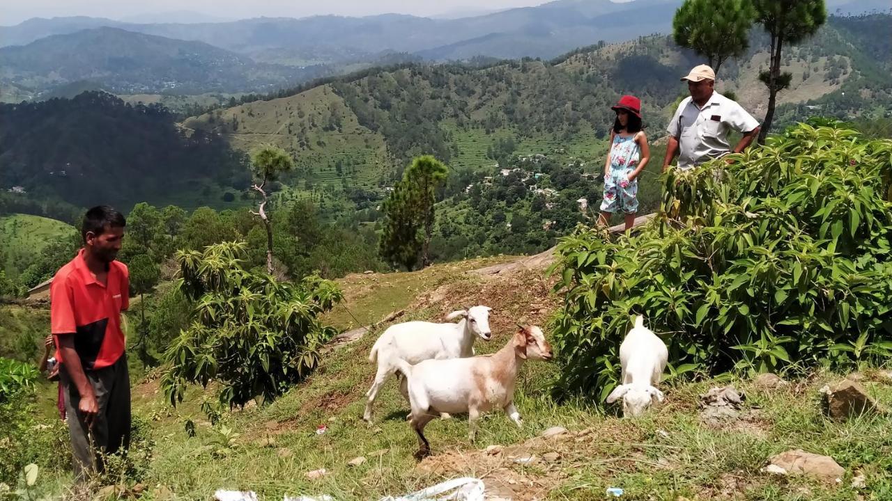 Dwarahat Village Farmstay- Babaji'S Cave Luaran gambar