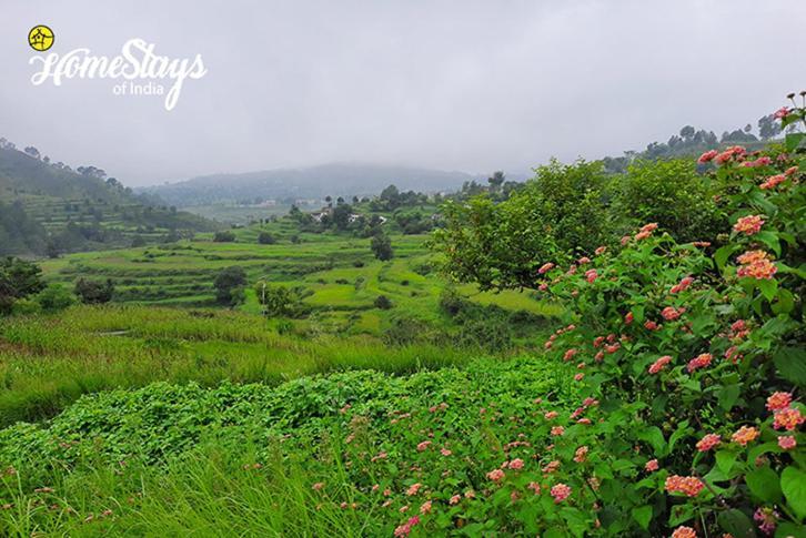 Dwarahat Village Farmstay- Babaji'S Cave Luaran gambar