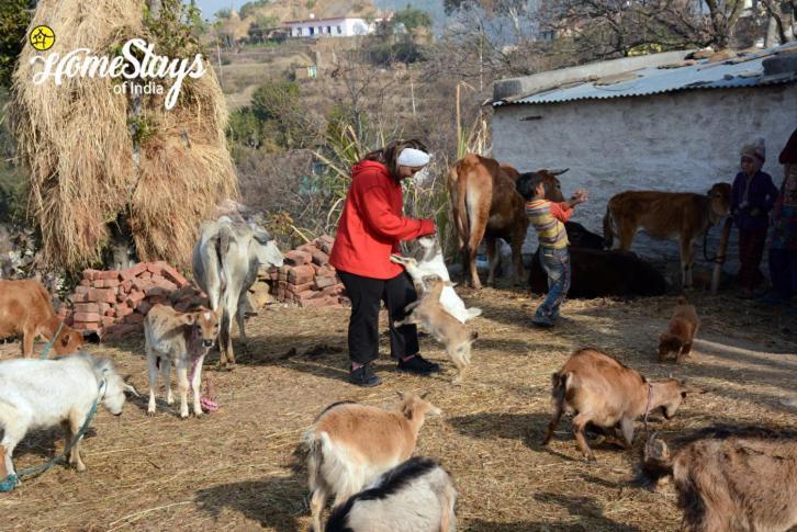 Dwarahat Village Farmstay- Babaji'S Cave Luaran gambar